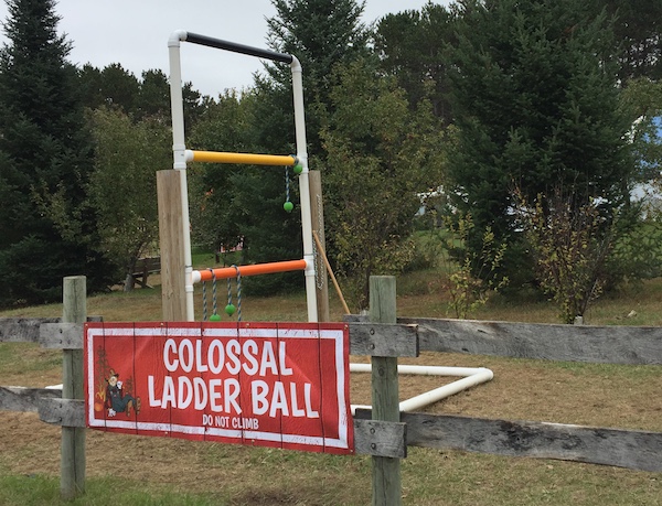 Colossal Ladder Ball