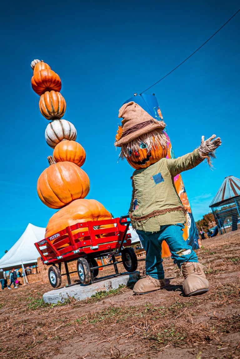 Attractions & Farm Map